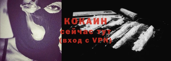 соль ск Сосновоборск